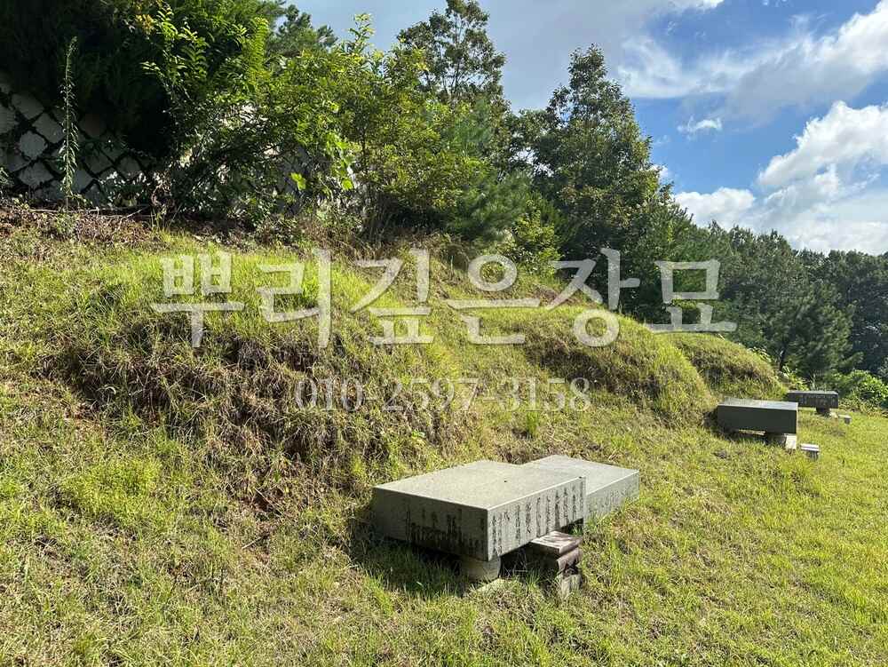벌초 작업전 작업 사진 · 뿌리깊은장묘