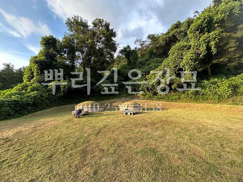 벌초 묘역전경 작업 사진 · 뿌리깊은장묘
