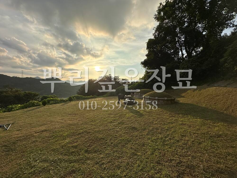 벌초 묘역전경 작업 사진 · 뿌리깊은장묘