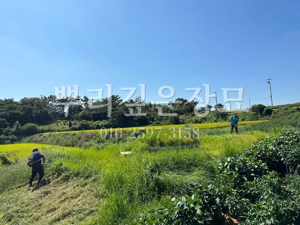 벌초 작업전 작업 사진 · 뿌리깊은장묘