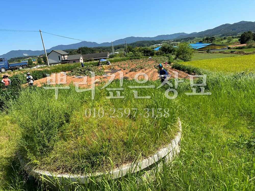 벌초 작업전 작업 사진 · 뿌리깊은장묘