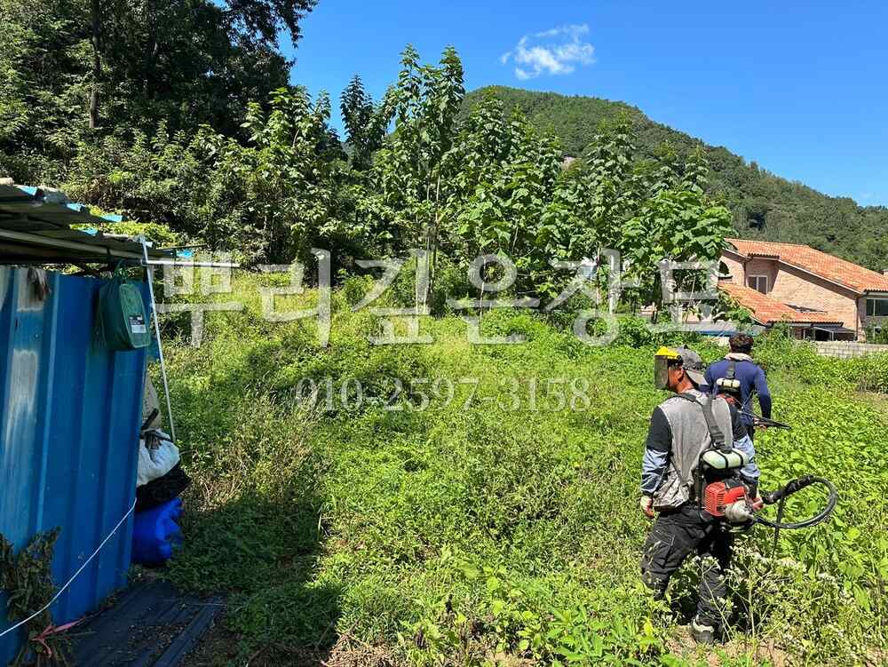 벌초 예초중 작업 사진 · 뿌리깊은장묘