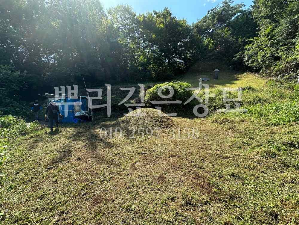 벌초 작업완료 작업 사진 · 뿌리깊은장묘