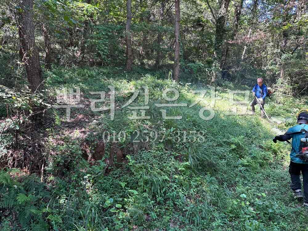 벌초 예초중 작업 사진 · 뿌리깊은장묘