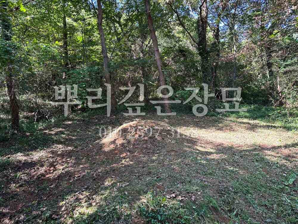 벌초 작업완료 작업 사진 · 뿌리깊은장묘