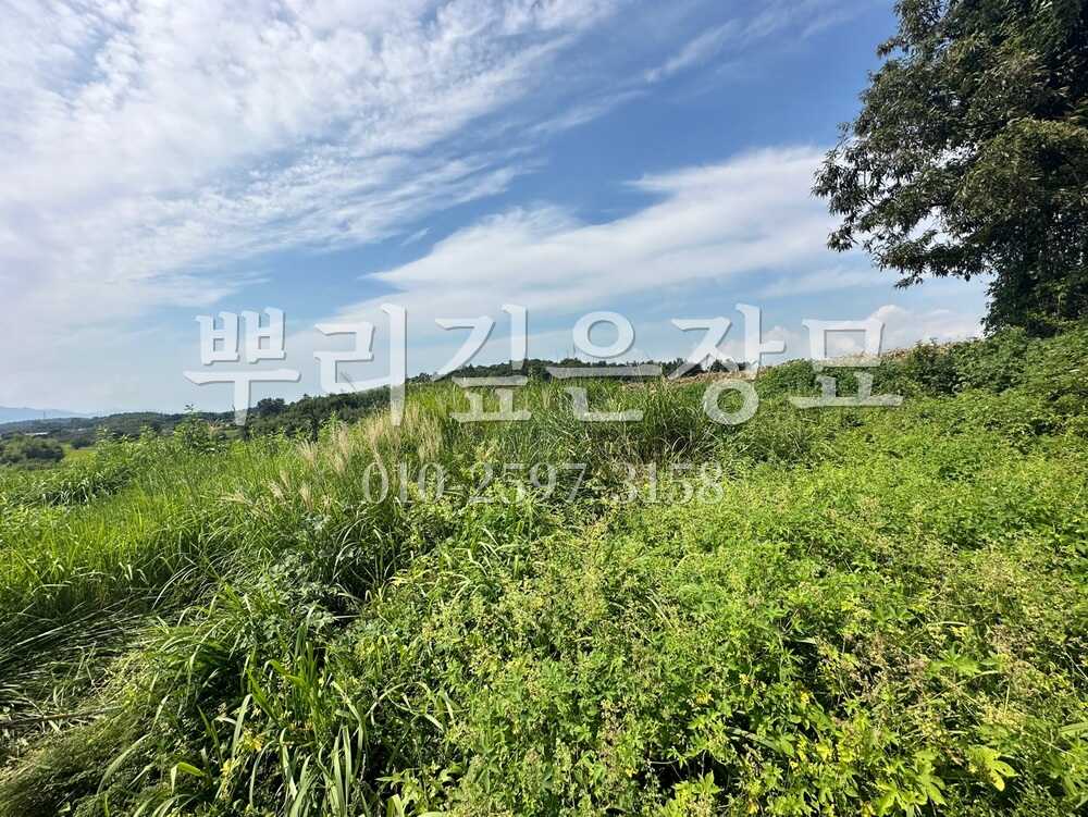 벌초 작업전 작업 사진 · 뿌리깊은장묘