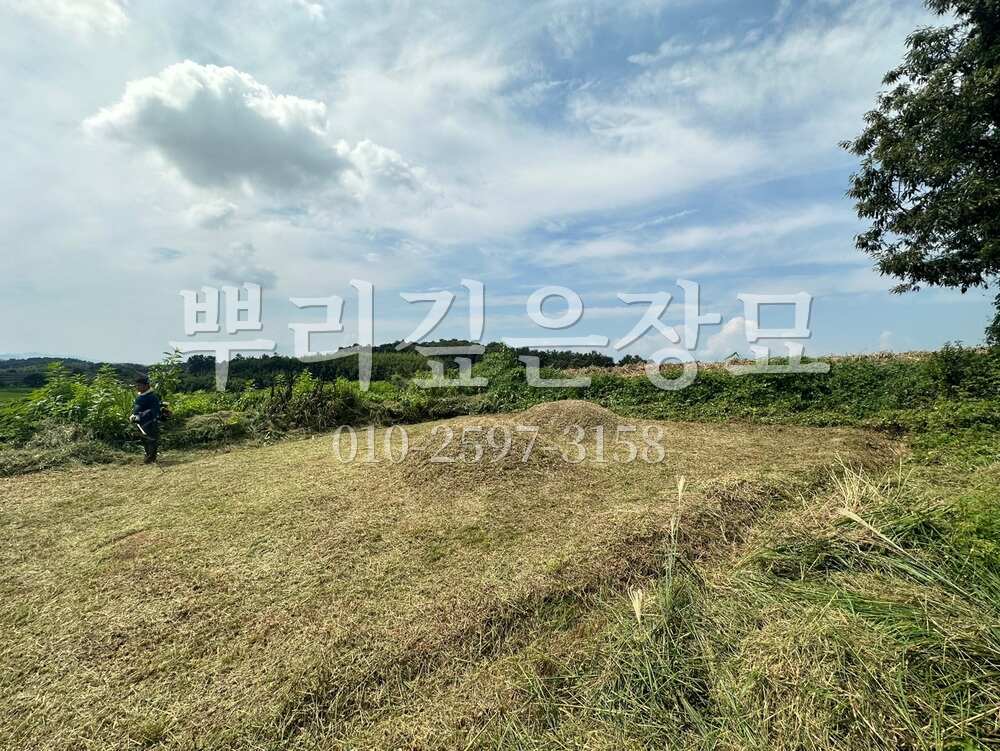 벌초 묘역전경 작업 사진 · 뿌리깊은장묘