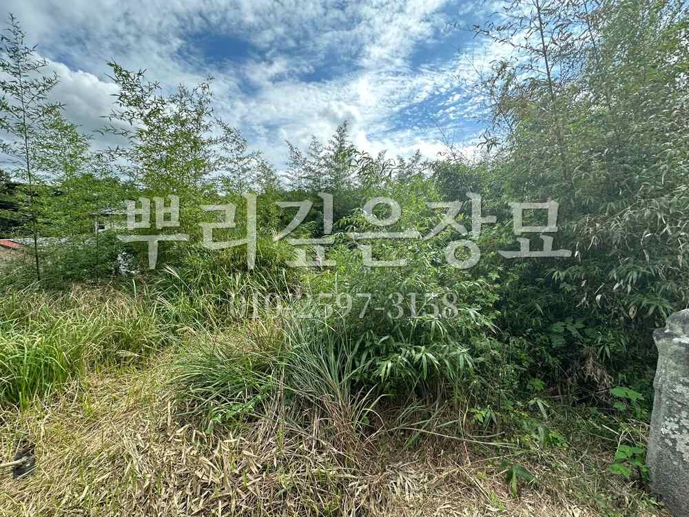 벌초 작업전 작업 사진 · 뿌리깊은장묘