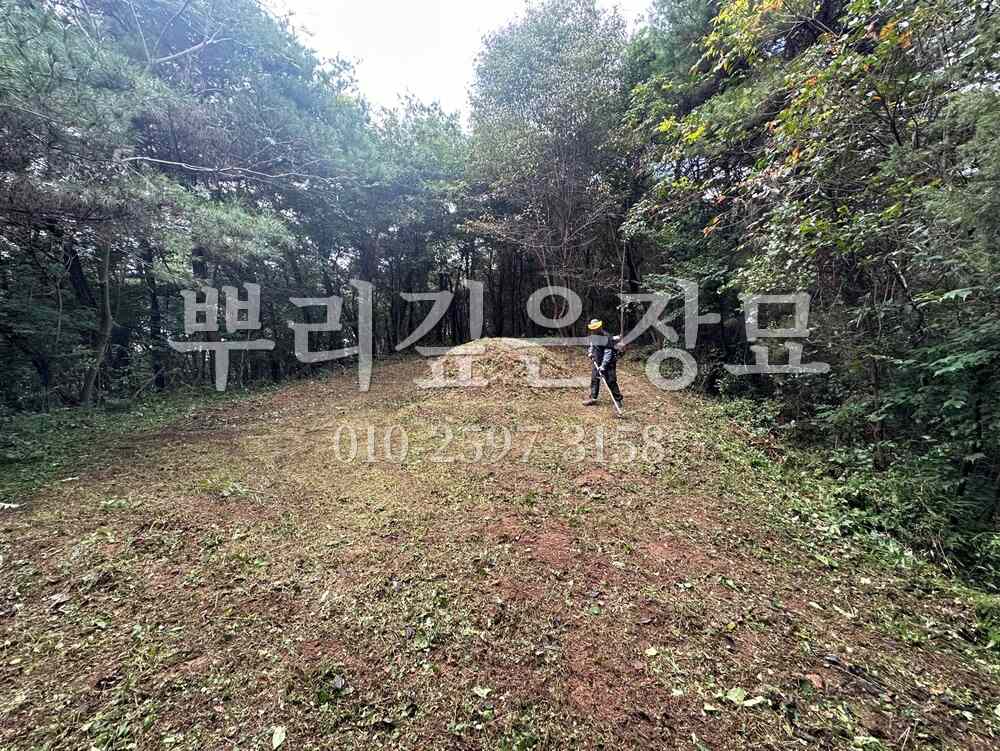 벌초 작업완료 작업 사진 · 뿌리깊은장묘