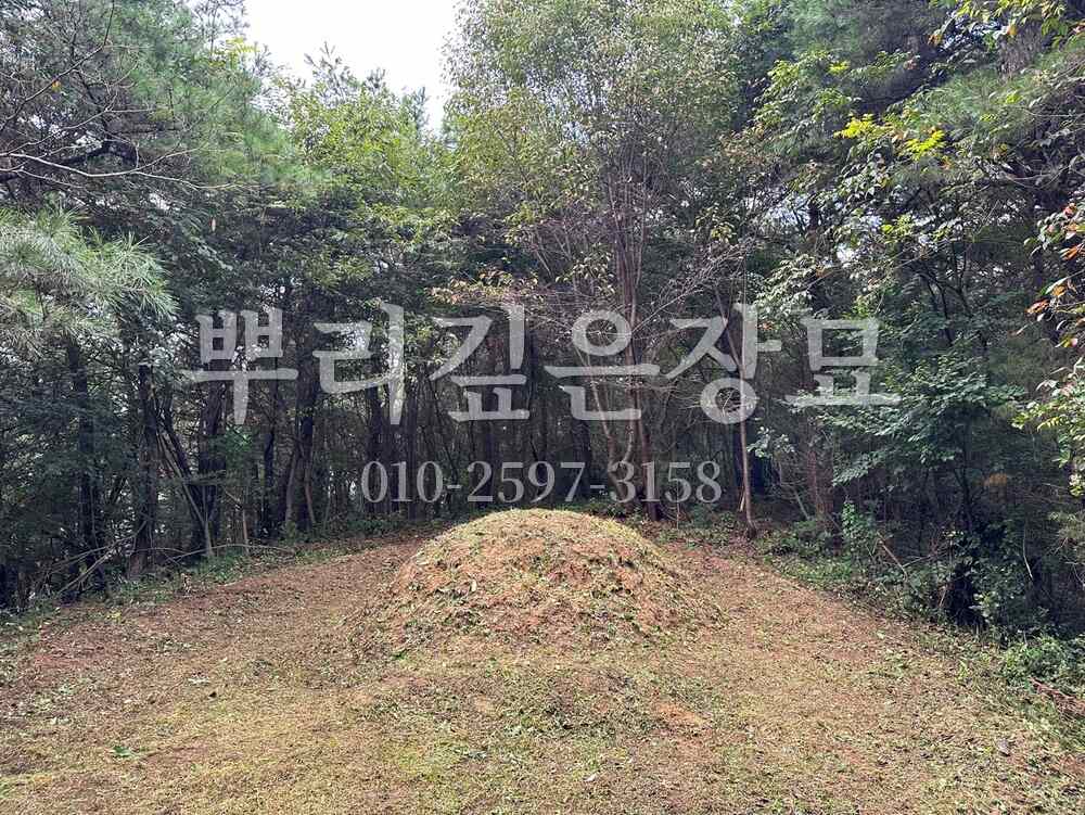벌초 작업완료 작업 사진 · 뿌리깊은장묘