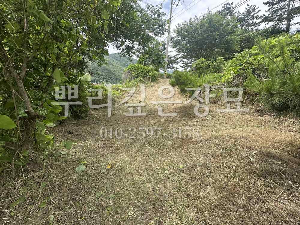 벌초 작업완료 작업 사진 · 뿌리깊은장묘
