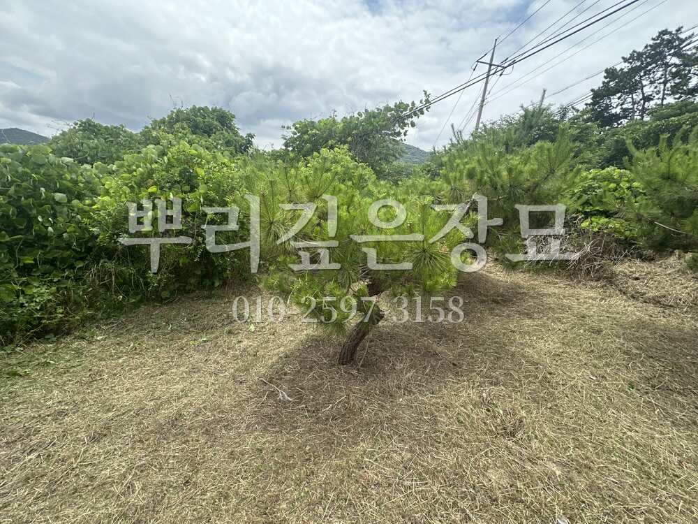 벌초 작업완료 작업 사진 · 뿌리깊은장묘