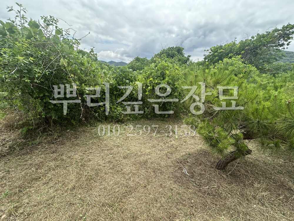 벌초 작업완료 작업 사진 · 뿌리깊은장묘