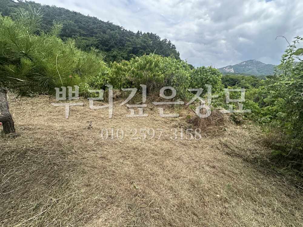 벌초 작업완료 작업 사진 · 뿌리깊은장묘
