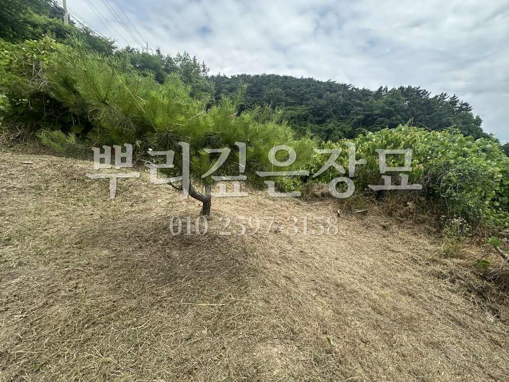 벌초 작업완료 작업 사진 · 뿌리깊은장묘