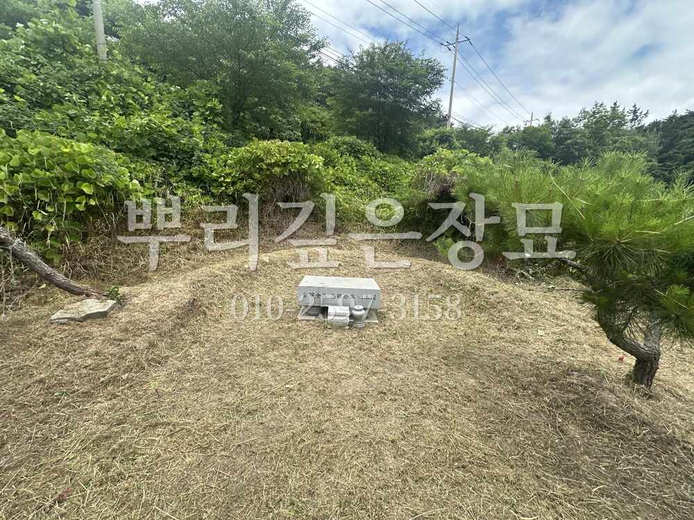 벌초 작업완료 작업 사진 · 뿌리깊은장묘