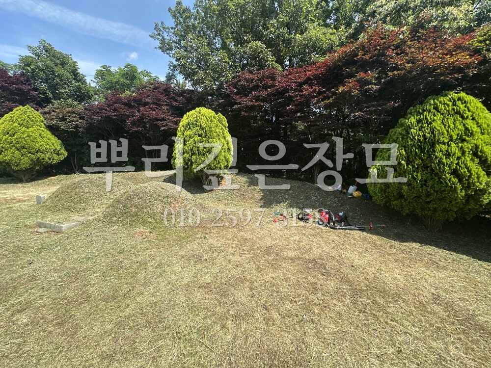 벌초 작업완료 작업 사진 · 뿌리깊은장묘