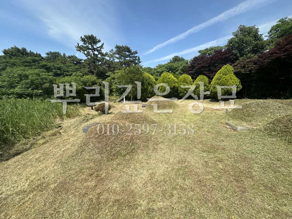 벌초 작업완료 작업 사진 · 뿌리깊은장묘