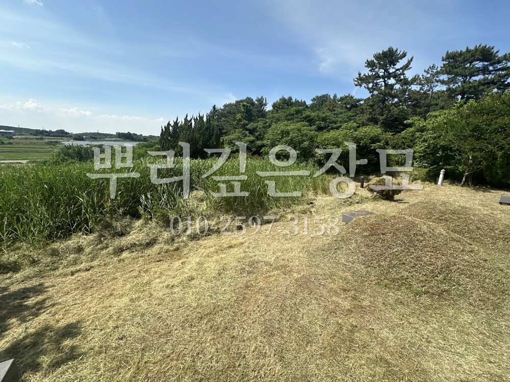 벌초 작업완료 작업 사진 · 뿌리깊은장묘