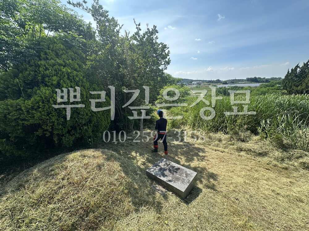 벌초 작업완료 작업 사진 · 뿌리깊은장묘