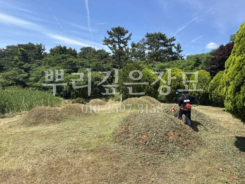 벌초 예초중 작업 사진 · 뿌리깊은장묘