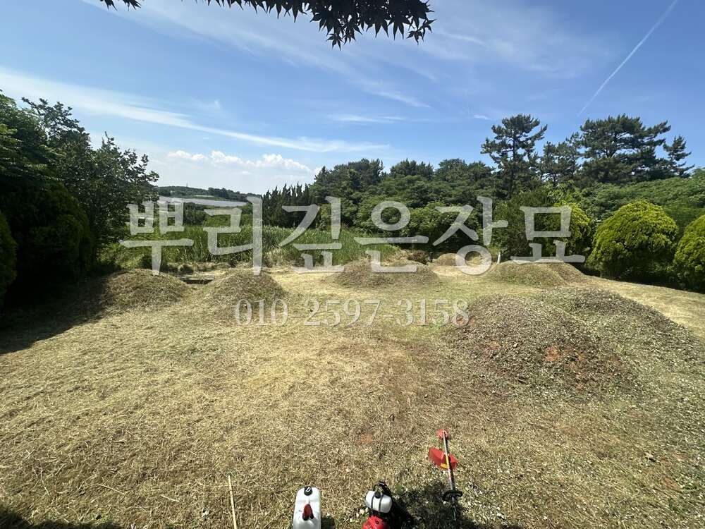 벌초 묘역전경 작업 사진 · 뿌리깊은장묘