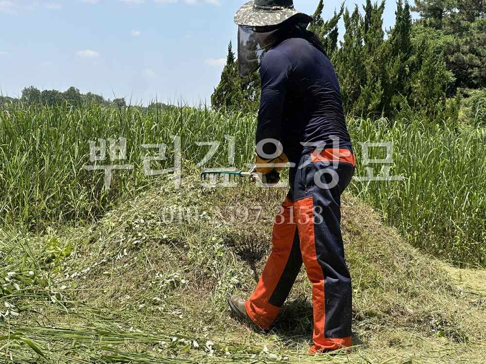 벌초 봉분정비 작업 사진 · 뿌리깊은장묘