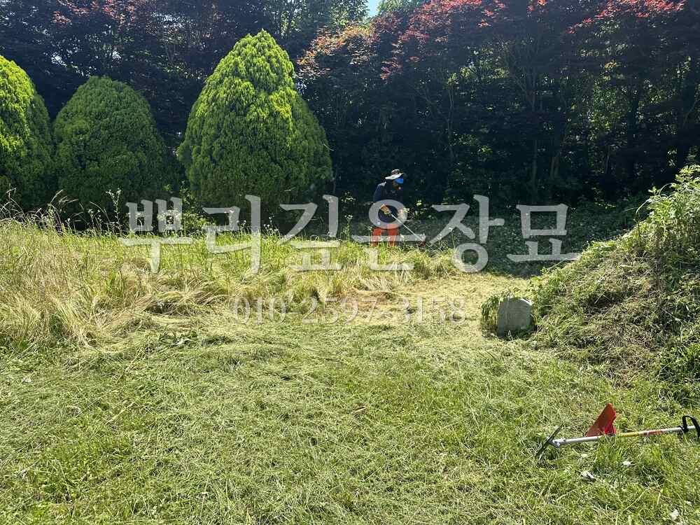 벌초 예초중 작업 사진 · 뿌리깊은장묘