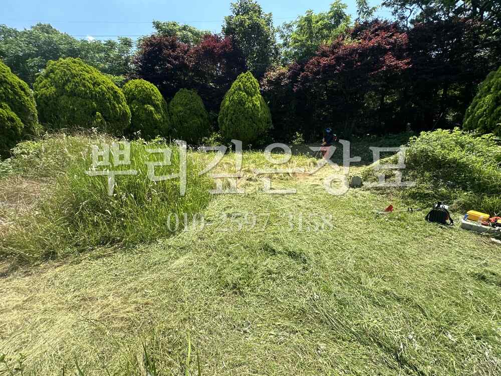 벌초 예초중 작업 사진 · 뿌리깊은장묘