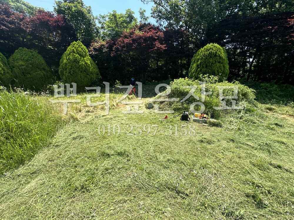 벌초 예초중 작업 사진 · 뿌리깊은장묘