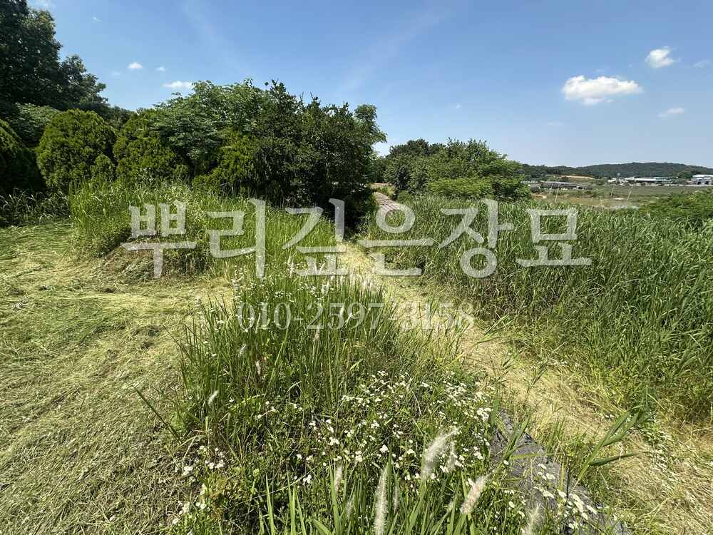 벌초 작업전 작업 사진 · 뿌리깊은장묘