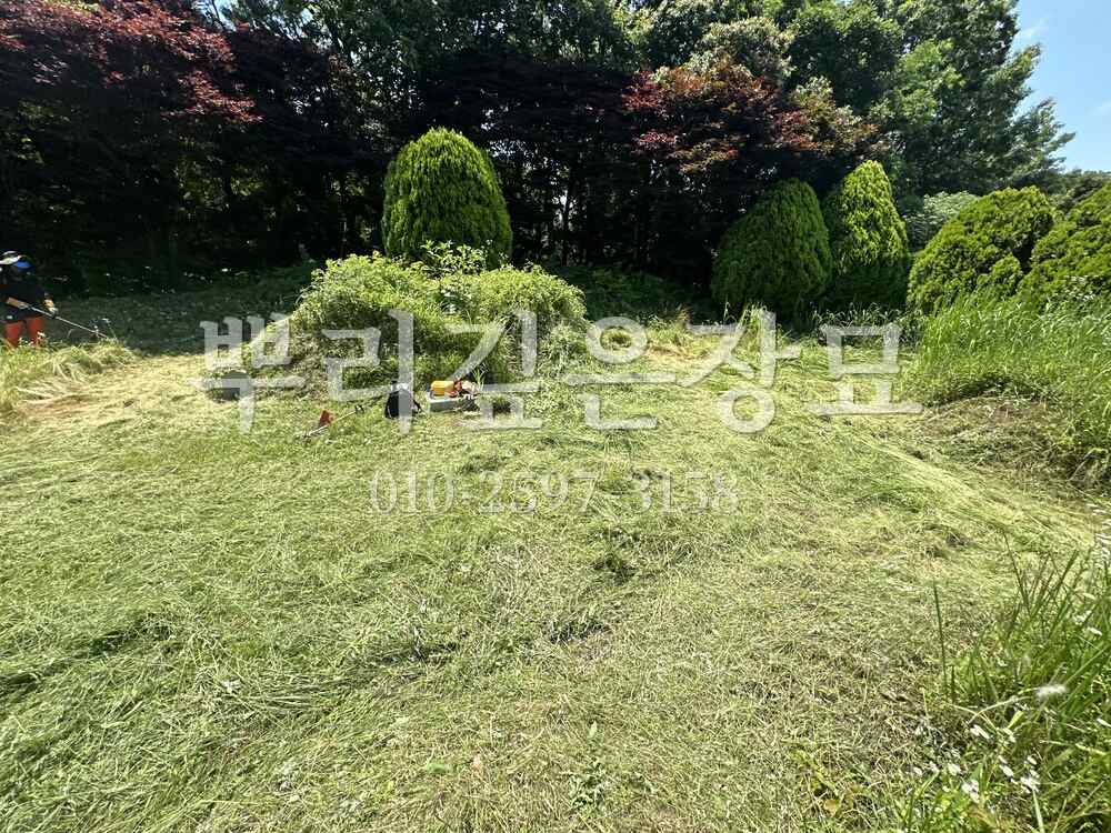 벌초 작업완료 작업 사진 · 뿌리깊은장묘