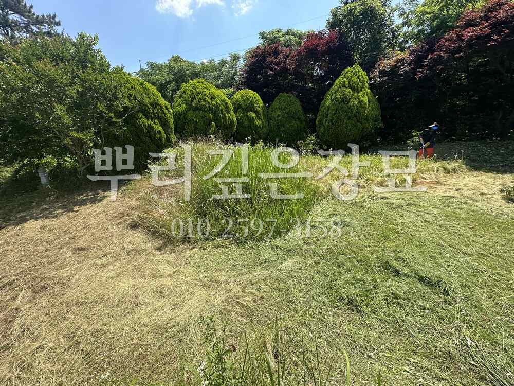 벌초 작업완료 작업 사진 · 뿌리깊은장묘