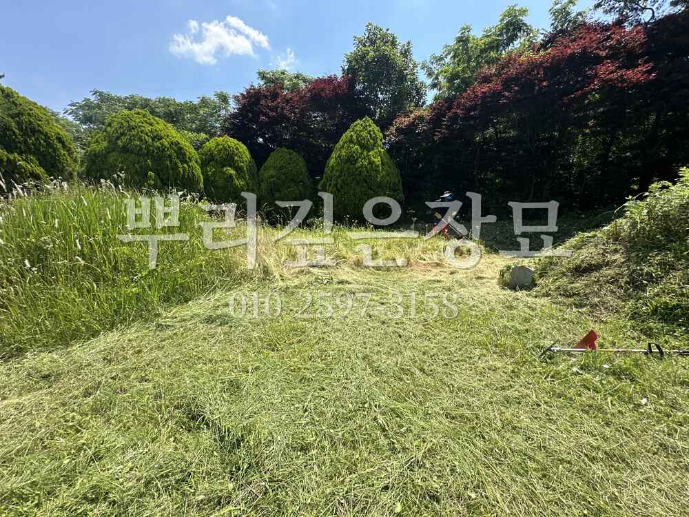 벌초 작업완료 작업 사진 · 뿌리깊은장묘