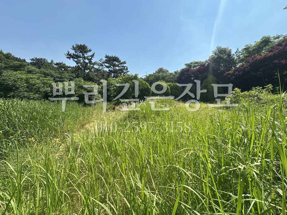 벌초 작업전 작업 사진 · 뿌리깊은장묘