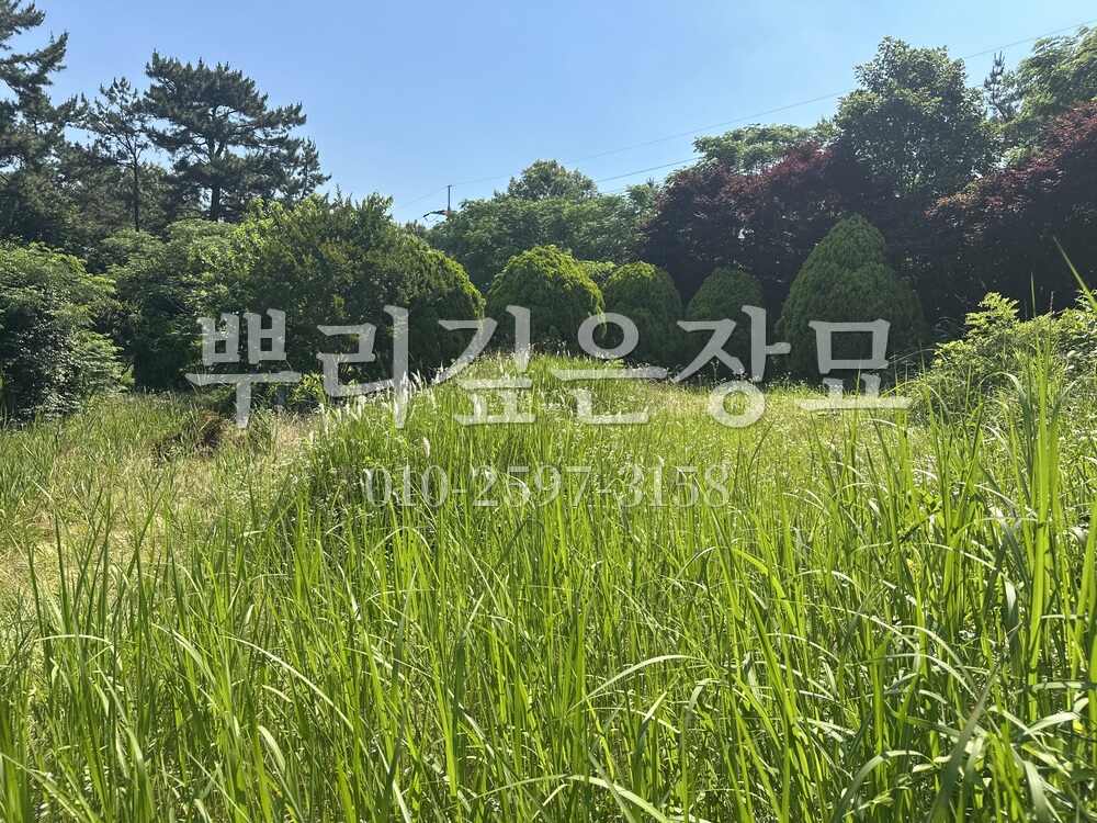 벌초 작업전 작업 사진 · 뿌리깊은장묘