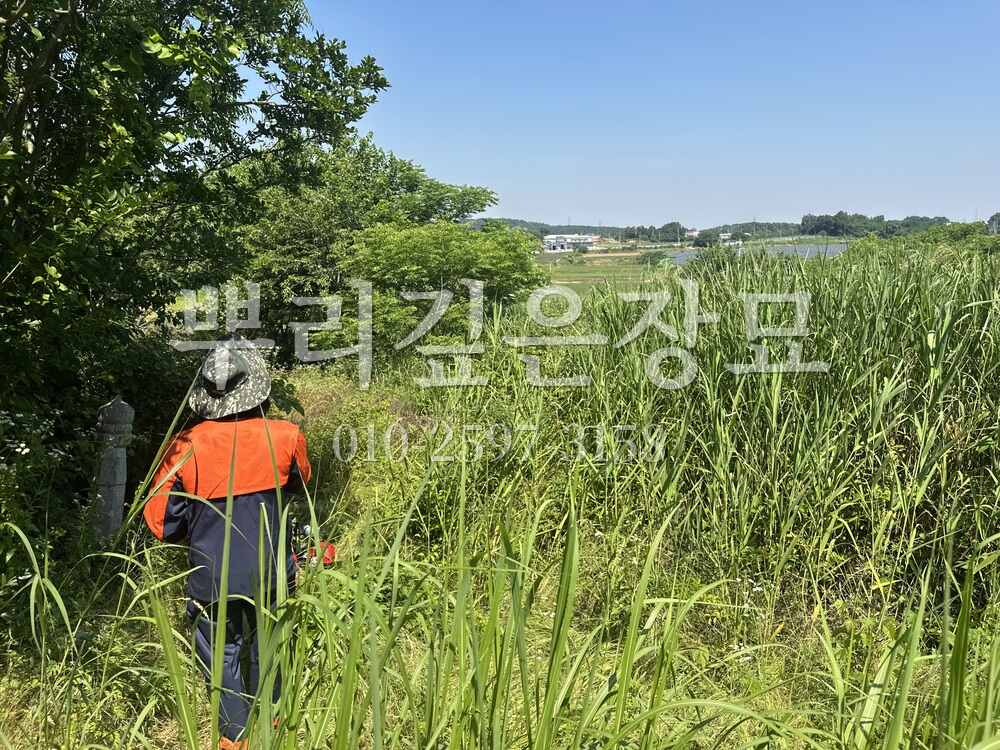 벌초 예초중 작업 사진 · 뿌리깊은장묘