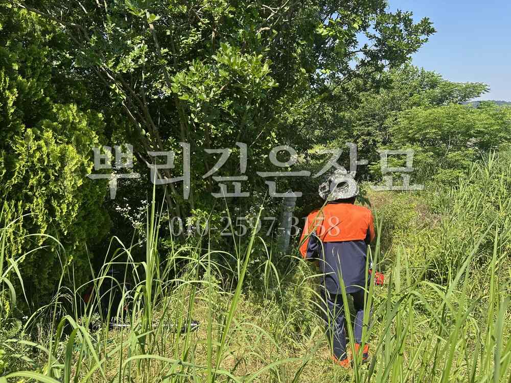 벌초 예초중 작업 사진 · 뿌리깊은장묘