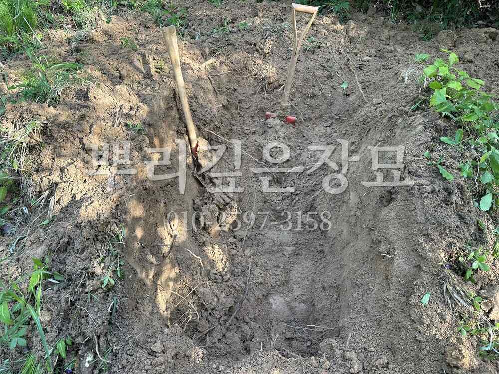 묘지이장 인력굴착 작업 사진 · 뿌리깊은장묘