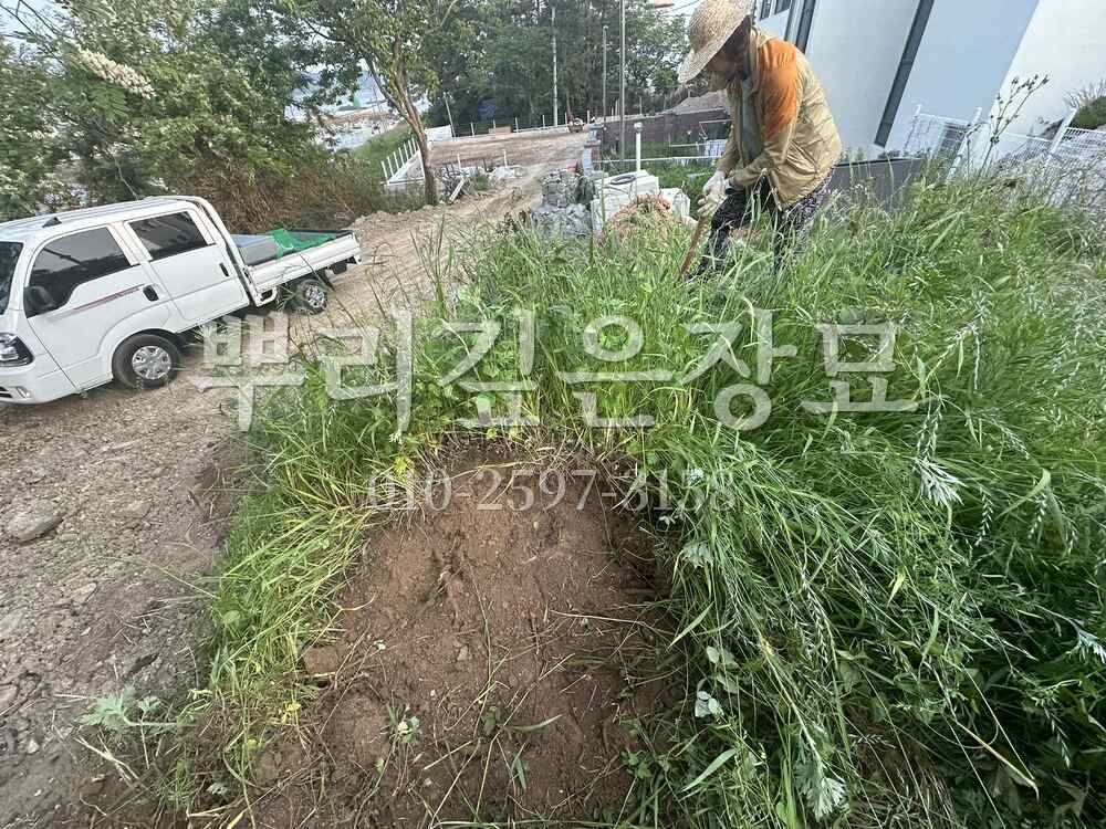 묘지이장 현장전경 작업 사진 · 뿌리깊은장묘