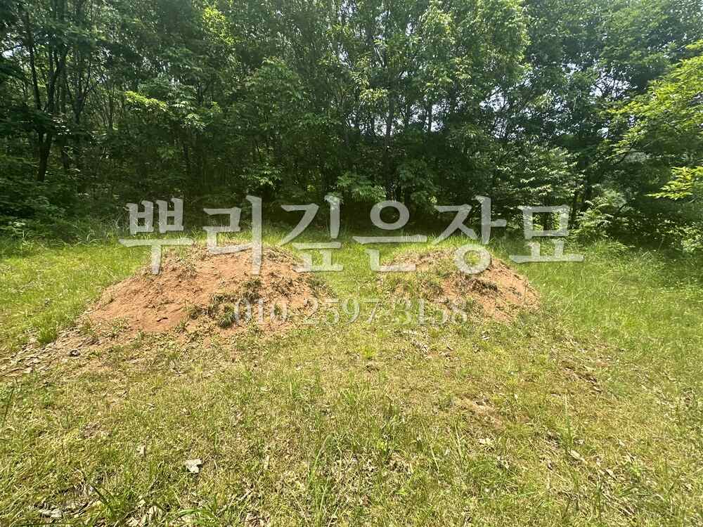 묘지이장 현장전경 작업 사진 · 뿌리깊은장묘
