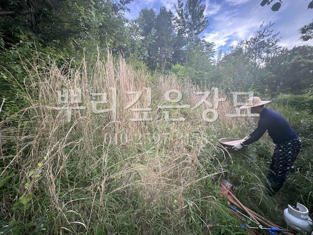 묘지이장 현장전경 작업 사진 · 뿌리깊은장묘