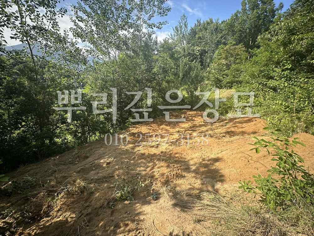 묘지이장 정리완료 작업 사진 · 뿌리깊은장묘