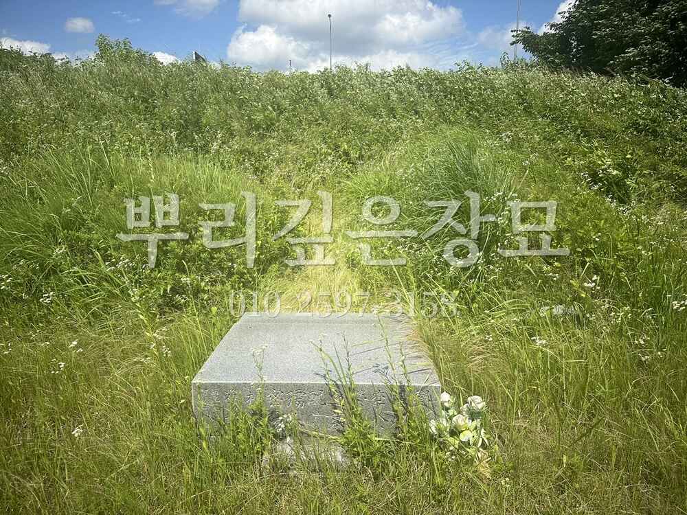 묘지이장 현장전경 작업 사진 · 뿌리깊은장묘