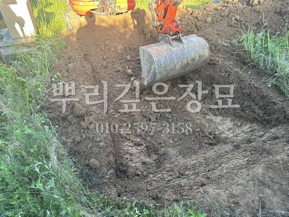 묘지이장 장비작업 작업 사진 · 뿌리깊은장묘