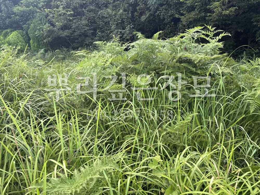묘지이장 현장전경 작업 사진 · 뿌리깊은장묘