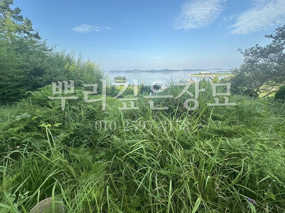 묘지이장 현장전경 작업 사진 · 뿌리깊은장묘