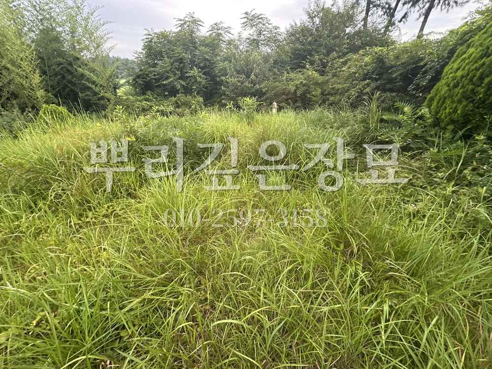 묘지이장 현장전경 작업 사진 · 뿌리깊은장묘