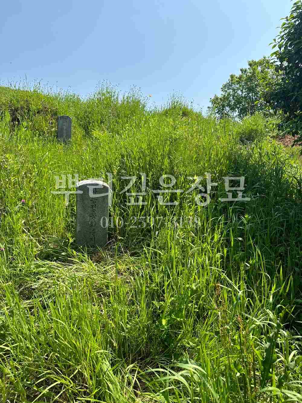 묘지이장 현장전경 작업 사진 · 뿌리깊은장묘