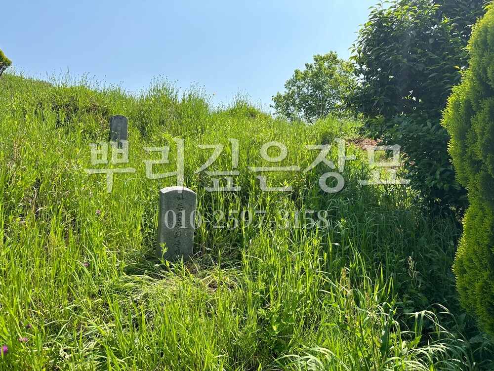 묘지이장 현장전경 작업 사진 · 뿌리깊은장묘